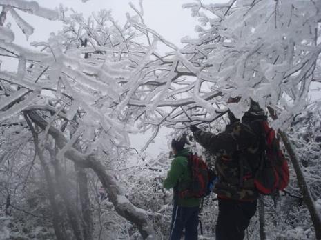 什么是浪雪