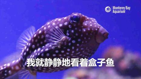 头是长方形的鱼叫什么