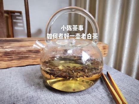 樟树叶煮水可以煮几次