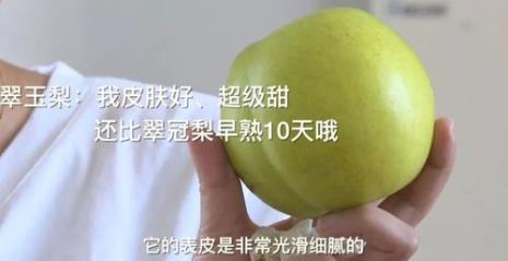 翠冠梨和水蜜桃的区别