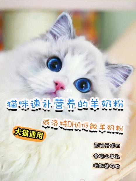 为什么羊奶更接近猫咪母乳