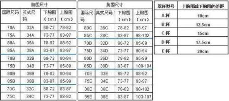 内衣尺寸怎么量