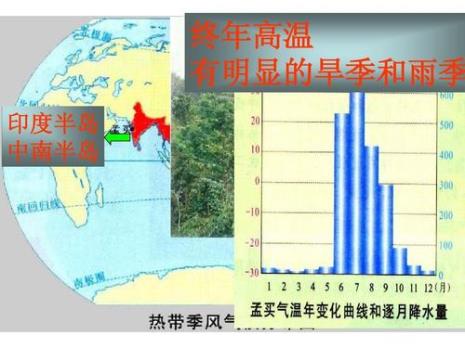 印度的气候类型分布图