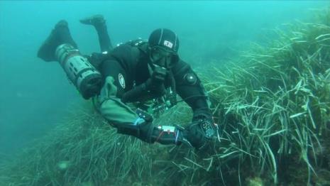 水肺潜水10米左右安全吗