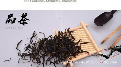 龙涎单枞属于什么茶类