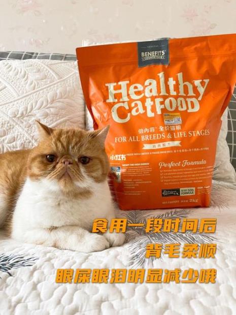 倍内菲粮和佩玛斯特猫粮哪个好