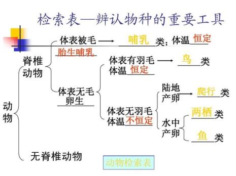 生物感觉的种类