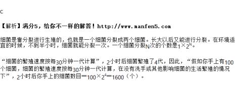 写生物听什么歌可以提高速度