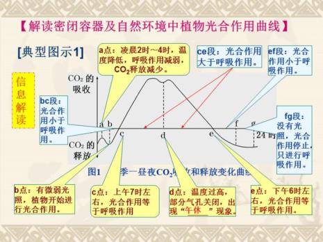 植物光合作用的原料是什么