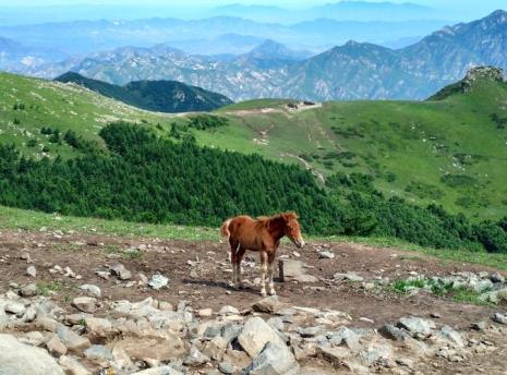 北京灵山山顶温度