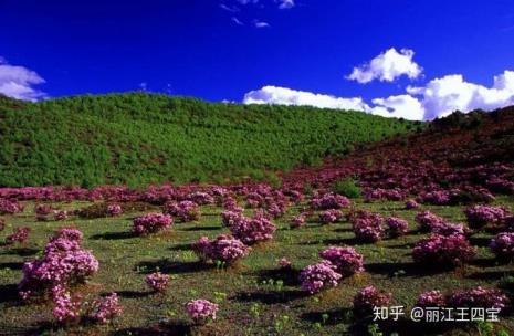 12月可以去香格里拉旅游吗