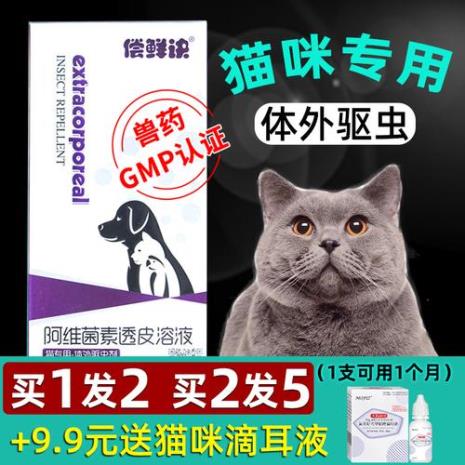 怎样给猫喂驱虫药