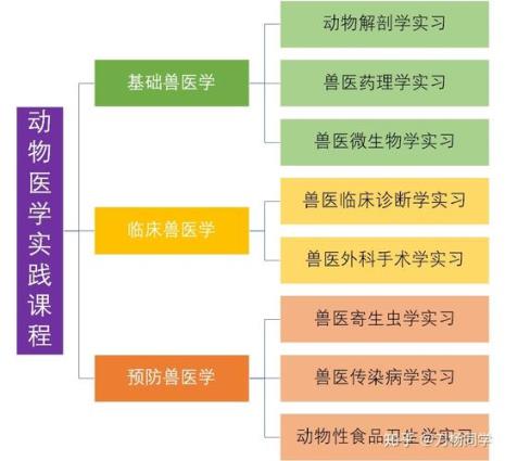 临床兽医跟基础兽医哪个好考