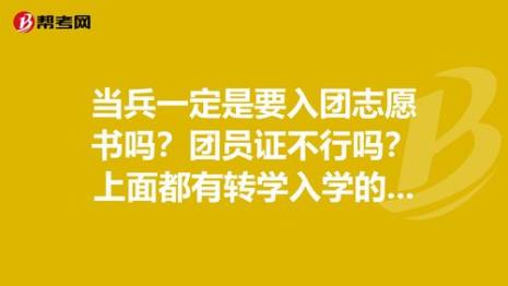 团员不缴费会自动退吗