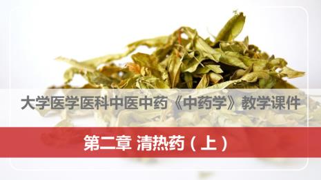 中医药学和西医药学什么区别