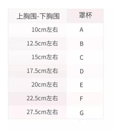 胸罩都有那些尺码分别是多大