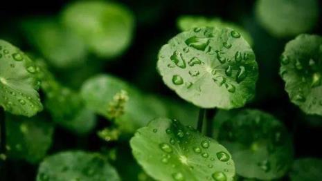 下雨上山听雨的文案