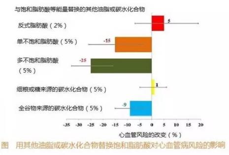 单饱和脂肪酸是什么意思