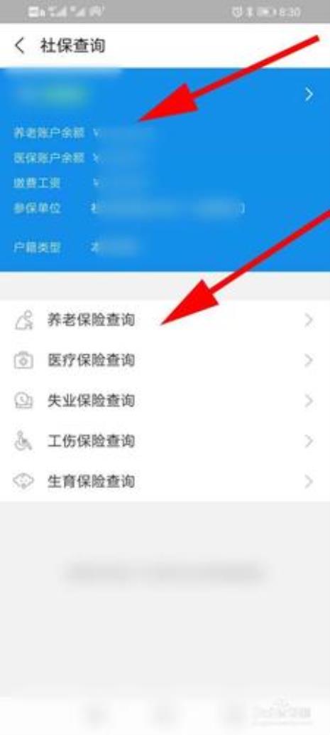 多个社保账户怎么查询社保信息