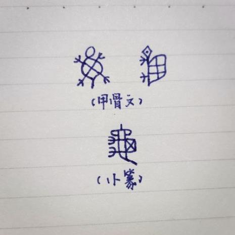 乌龟的繁体字怎么写