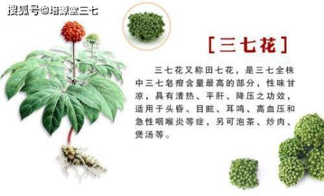 如何选购三七花