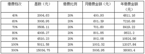 灵活就业社保综合费用是什么