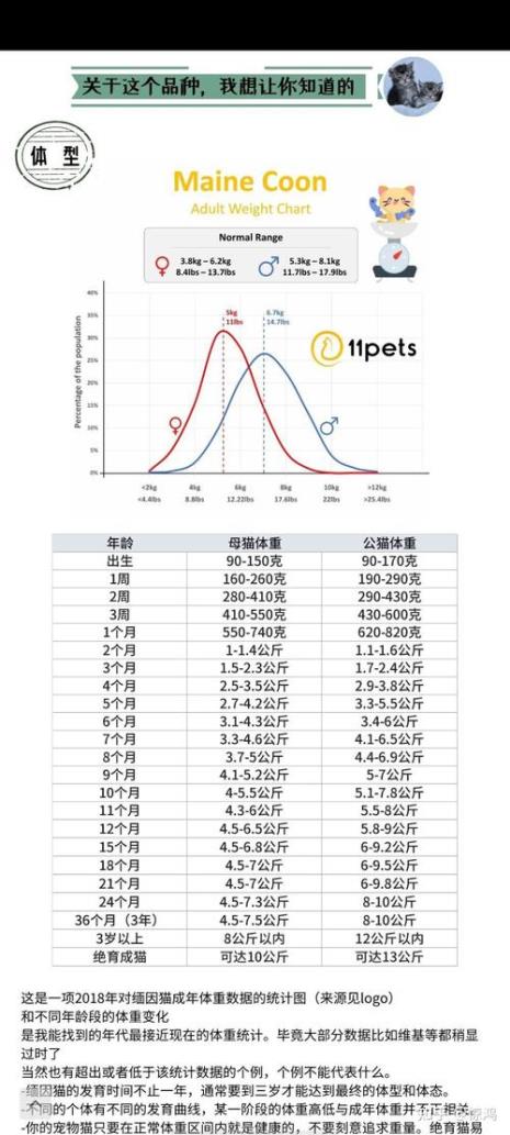 猫咪年龄跟体重比例