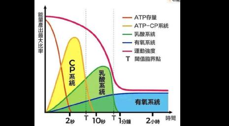 三大能源物质及功能顺序