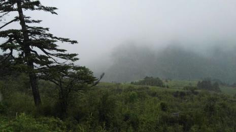 下雨神农架先玩哪