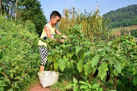 8岁小孩暑假学什么好