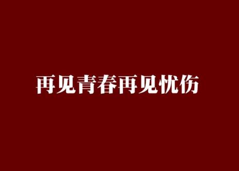 青春再见什么曲风