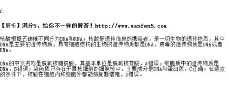 dna中文全称