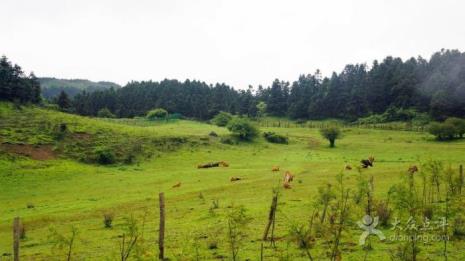 仙女山进山需要换票不