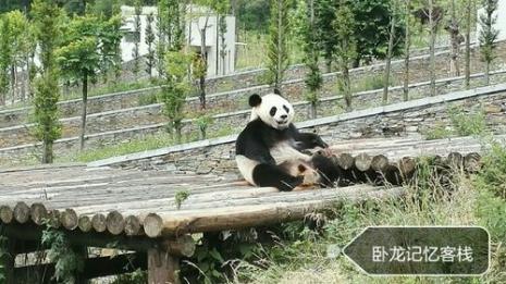 卧龙熊猫基地熊猫馆门票