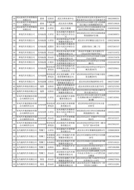 武汉新能源上牌玩几天