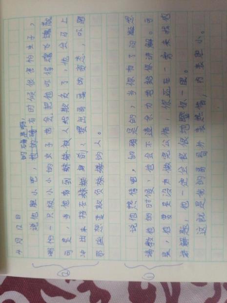 13课桥的小练笔150字