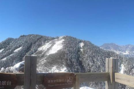 西岭雪山山顶可以步行上去