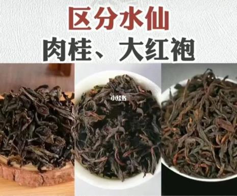 岩茶和肉桂有何区别