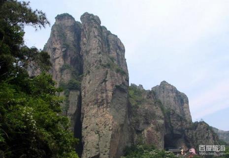 什么树是闻名的海上名山