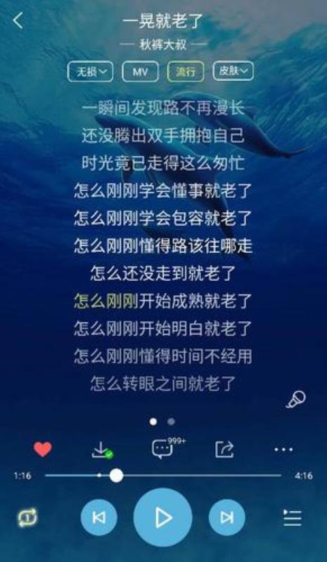 一晃就老了的主持词