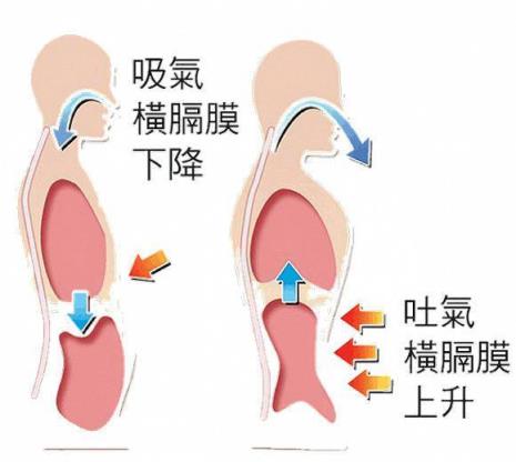 怎么做胸腹式呼吸