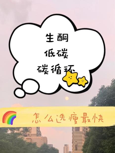 高低碳循环怎么安排