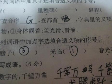 光字是什么结构的字