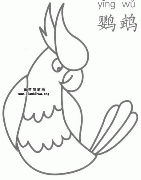 怎样画鹦鹉的简笔画