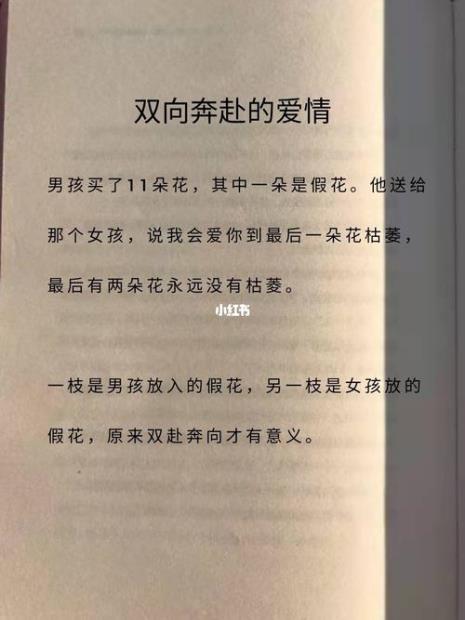 世界上没有双向奔赴的爱