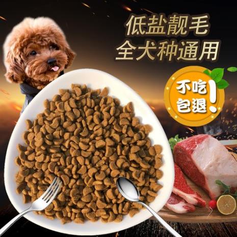 小型犬哪款狗粮好