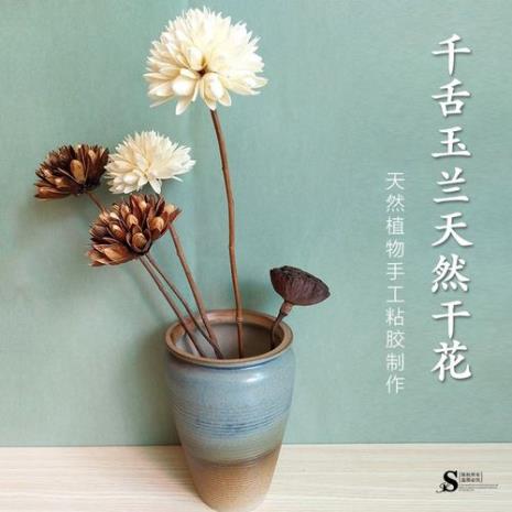 养过的插花能做干花吗