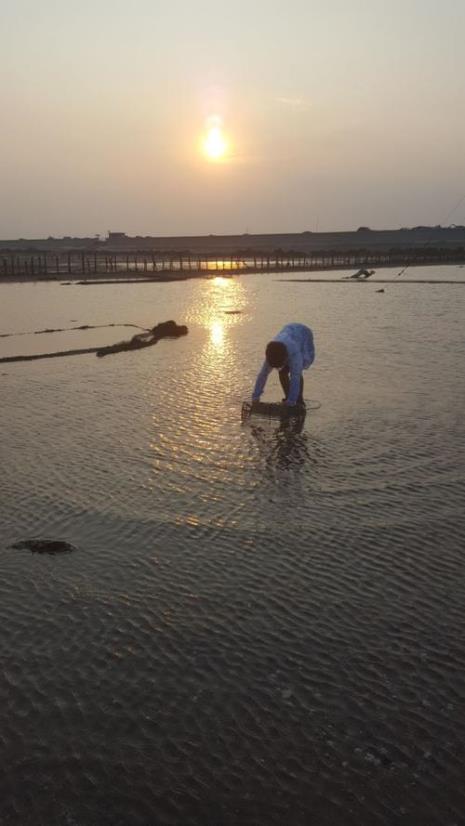 上海青浦哪里可以赶海