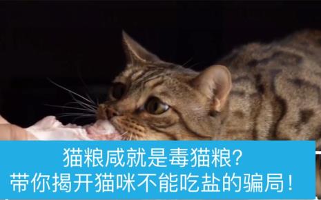 猫咪能不能吃咸的东西