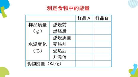 食物转换成能量的过程